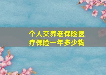 个人交养老保险医疗保险一年多少钱