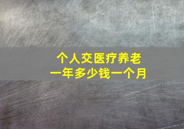 个人交医疗养老一年多少钱一个月