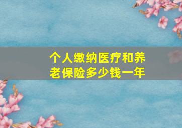 个人缴纳医疗和养老保险多少钱一年