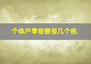 个体户季报要报几个税