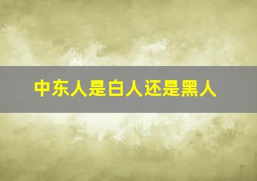 中东人是白人还是黑人