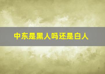 中东是黑人吗还是白人