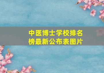 中医博士学校排名榜最新公布表图片