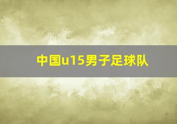 中国u15男子足球队