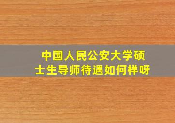 中国人民公安大学硕士生导师待遇如何样呀