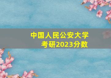 中国人民公安大学考研2023分数