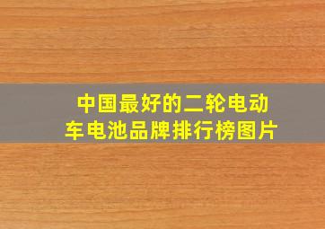 中国最好的二轮电动车电池品牌排行榜图片