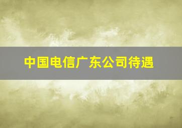 中国电信广东公司待遇