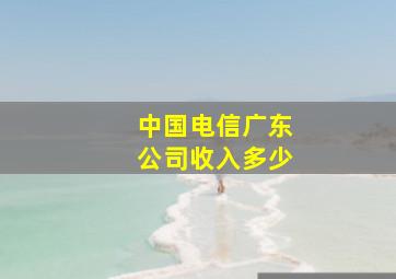 中国电信广东公司收入多少