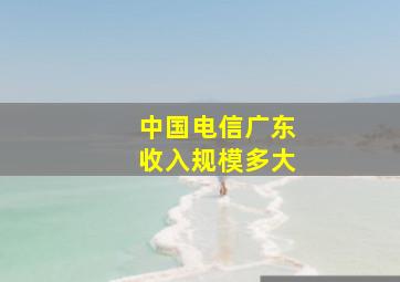 中国电信广东收入规模多大