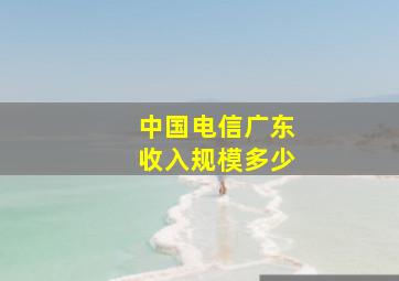 中国电信广东收入规模多少