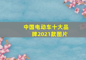 中国电动车十大品牌2021款图片