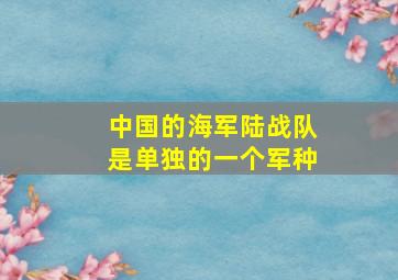 中国的海军陆战队是单独的一个军种