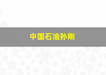 中国石油孙刚