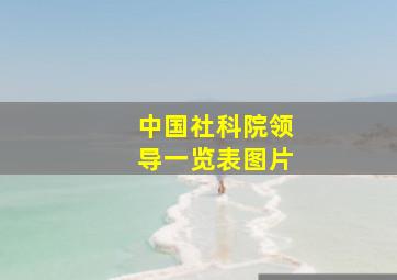 中国社科院领导一览表图片