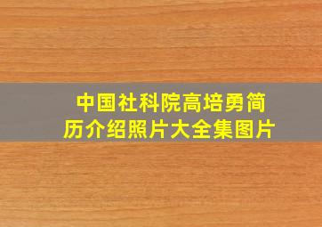 中国社科院高培勇简历介绍照片大全集图片