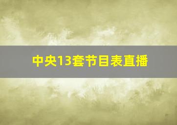 中央13套节目表直播