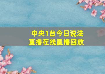 中央1台今日说法直播在线直播回放