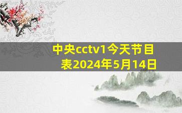 中央cctv1今天节目表2024年5月14日