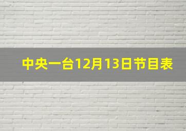 中央一台12月13日节目表