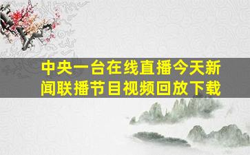 中央一台在线直播今天新闻联播节目视频回放下载