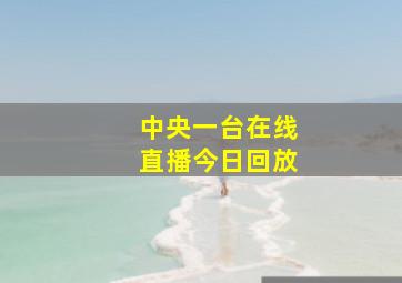 中央一台在线直播今日回放