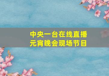 中央一台在线直播元宵晚会现场节目