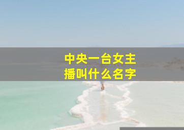 中央一台女主播叫什么名字