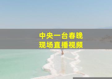 中央一台春晚现场直播视频