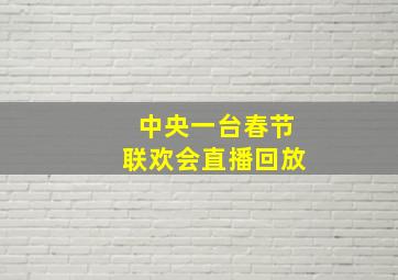 中央一台春节联欢会直播回放