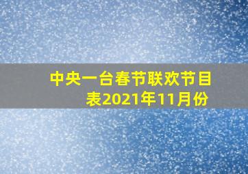 中央一台春节联欢节目表2021年11月份