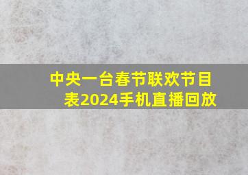 中央一台春节联欢节目表2024手机直播回放