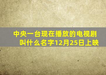 中央一台现在播放的电视剧叫什么名字12月25日上映