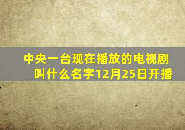 中央一台现在播放的电视剧叫什么名字12月25日开播