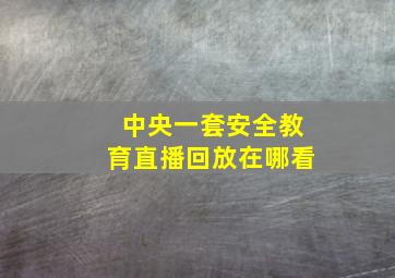 中央一套安全教育直播回放在哪看