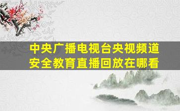 中央广播电视台央视频道安全教育直播回放在哪看