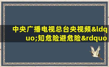 中央广播电视总台央视频“知危险避危险”