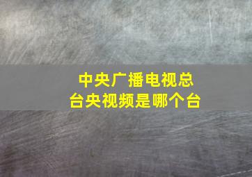 中央广播电视总台央视频是哪个台