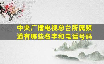 中央广播电视总台所属频道有哪些名字和电话号码