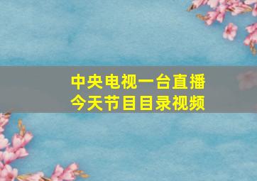 中央电视一台直播今天节目目录视频