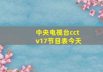 中央电视台cctv17节目表今天