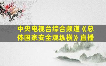 中央电视台综合频道《总体国家安全观纵横》直播