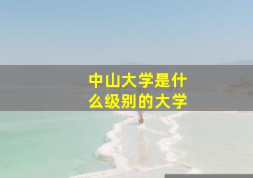 中山大学是什么级别的大学