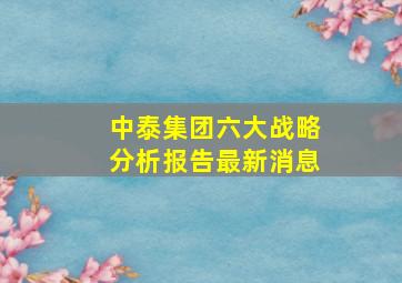 中泰集团六大战略分析报告最新消息