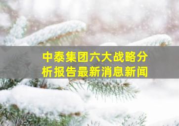 中泰集团六大战略分析报告最新消息新闻