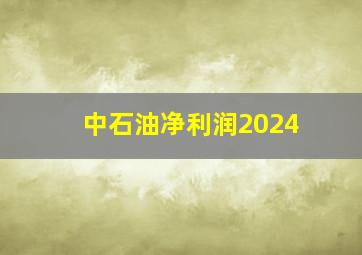 中石油净利润2024