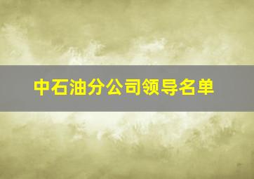 中石油分公司领导名单