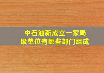 中石油新成立一家局级单位有哪些部门组成