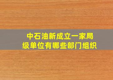 中石油新成立一家局级单位有哪些部门组织