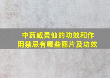 中药威灵仙的功效和作用禁忌有哪些图片及功效